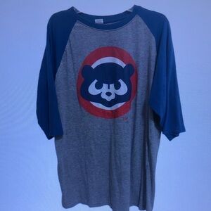 Grey & Blue Raglan Tee with Bear Graphic